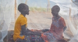 Working towards a malaria-free world |