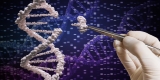 Scientists Get Close to Genetic Cause of Lupus – Consumer Health News