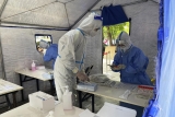 China labels WHO remarks on ‘zero-COVID’ ‘irresponsible’