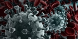 COVID-19 Cases Reach 500 Million Worldwide – Consumer Health News