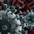 COVID-19 deaths tied to US life expectancy drop