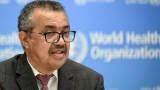 Unexplained hepatitis cases rise to 429 across 22 countries, WHO says