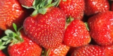 Organic Strawberries Linked to Hepatitis Cases, FDA Warns – Consumer Health News