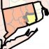 Arizona weekly COVID-19 update adds 13,042 cases, 33 deaths
