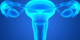 Radiographic Findings Described for Salpingography, Recanalization – Consumer Health News