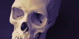 Scientists Pinpoint Origins of the Black Death – Consumer Health News