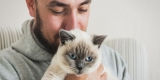 In Rare Cases, Your Cat Can Give You COVID – Consumer Health News