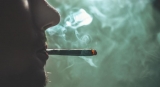 UN drug report shines light on cannabis, cocaine and methamphetamine trends |