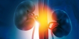 Comprehensive Symptom Assessment Should Happen Early With CKD – Consumer Health News