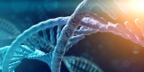Why Do Men Have Shorter Lifespans Than Women? – HealthDay News