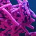 CDC study shows meteoric rise in number of Americans injecting drugs