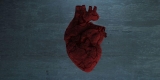 AHA Addresses Psychological Outcomes for Congenital Heart Disease – Consumer Health News