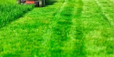 Weed Killer Glyphosate Found in Most Americans’ Urine – Consumer Health News