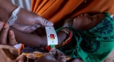 Horn of Africa faces most ‘catastrophic’ food insecurity in decades, warns WHO |