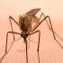 CDC Set to Ease COVID Guidance, Including for Schools – Consumer Health News