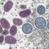 CDC COVID guidelines to isolate for 5 days after positive test are wrong, new data says