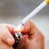 Scientists Create Long-acting Injectable Drug Delivery System for Tuberculosis