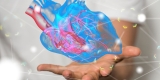 Left Atrial Appendage Occlusion Favored for Some A-Fib Patients – Consumer Health News