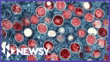 World Health Organization Looks To Change Monkeypox Name – Newsy & More Latest News Here
