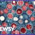 Omicron-specific booster shots are weeks away: Eligibility guide