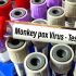 RAW: COVID: CDC VAX ADVISERS TO VOTE ON BOOSTERS (THURS) – 69News WFMZ-TV