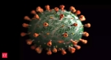 omicron: Omicron study: How quickly can you be exposed to virus, develop symptoms?