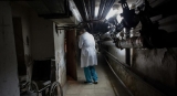 New WHO strategy aims to strengthen rapid response to health emergencies |