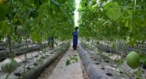 Plastics are piling up in soil across the world warns UN environment agency |