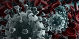 A COVID Vaccine Without Needles? – Consumer Health News