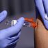 Doses of Ebola candidate vaccines expected to be shipped to Uganda next week: WHO |