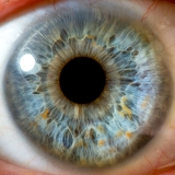 Eye-opening discovery about adult brain’s ability to recover vision
