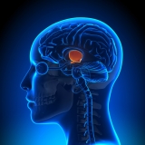 Could Obesity Be A Neurodevelopmental Disorder?