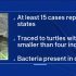 Can at-home COVID tests detect BA.4 and BA.5 subvariants?