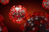 A Look At The Pandemic’s Most Enduring Variant