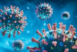 More Vaccinated People Dying of COVID as Fewer Get Booster Shots