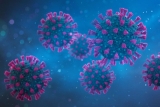 New COVID ‘Variant of Concern’ XBB May Lack Surge Potential
