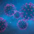 Flu shots are a “very good match” to this season’s strains, CDC says