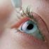 Health News | Increased Cancer Risk Linked to Ultra-processed Food Consumption: Study