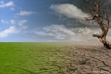 Climate Change May Make Pandemics More Common