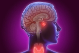 Monkeypox Can Cause Brain Inflammation, CDC Says