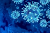 U.S. COVID-19 Cases Drop for First Time in 3 Months