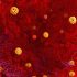 CDC predicts continued declines in COVID-19 hospitalizations and deaths over next 4 weeks – Boston News, Weather, Sports