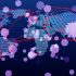FDA releases more doses of Moderna’s updated COVID-19 boosters amid reports of ‘limited’ supply