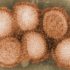 CDC says U.S. is experiencing highest number of flu hospitalizations in a decade