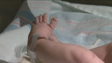 CDC: COVID hospitalizations rise among infants – FOX 13 Tampa