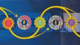 Covid vaccines: how can immune imprinting help experts to rethink jabs?