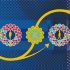 What Is Novavax? – CNET