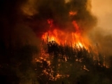 Oregon’s Lane County reports 715 additional COVID-19 cases