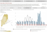 Knox County sees fewer cases, CDC reports Friday – Knox County VillageSoup