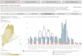 Knox County sees 16 more COVID-19 cases, CDC reports Friday – Knox County VillageSoup